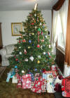 Our tree