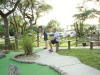 Minature golf