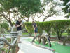 Minature golf