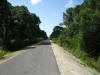 Looking south on the Legacy Trail