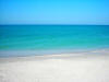 Deep Blue Sea