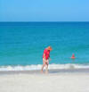Looking for shark's teeth