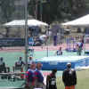 NCAA04.jpg (208259 bytes)