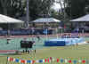 NCAA_CA09.JPG (163002 bytes)