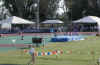 NCAA_CA11.JPG (171989 bytes)