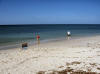 Looking for Sand Dollars