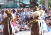 Chip and Dale