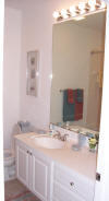 Guest bathroom