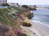 Cliffs at La Jolla